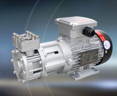 高溫電機(jī)熱水泵圖片 高溫電機(jī)熱水泵圖片