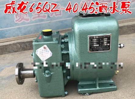 65QZ-40/45N(S)����ʽ��ˮ܇��