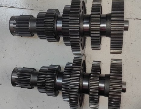 ���g�S����